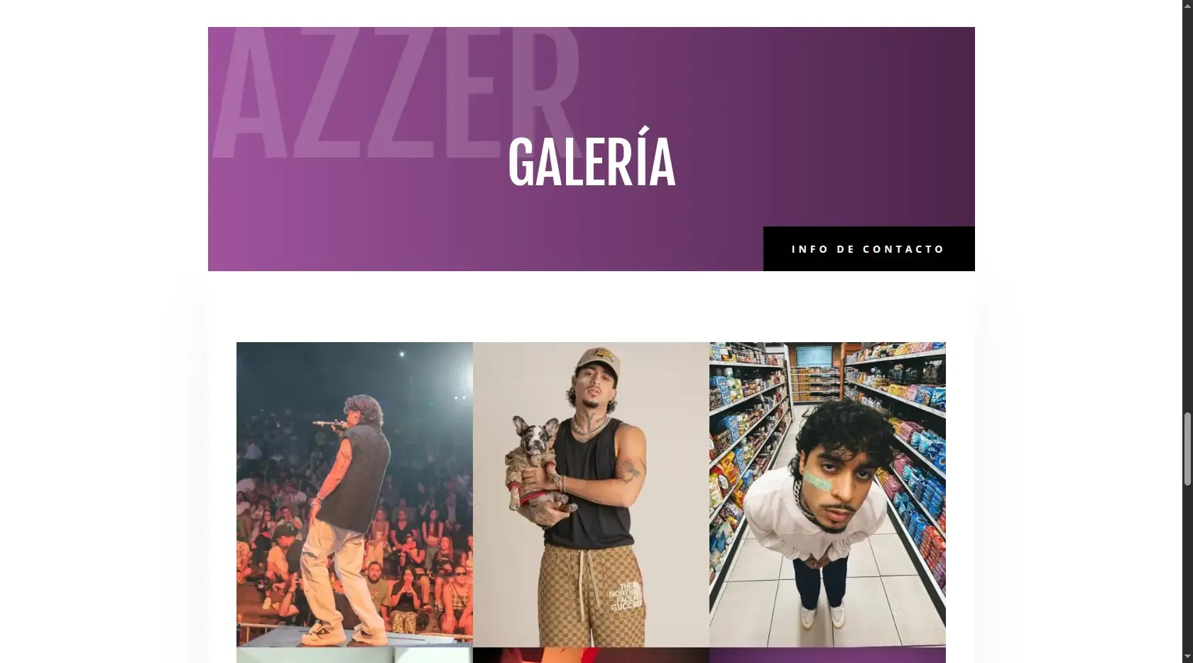 Razzer Buccarelli - Paneles de gestión de datos personalizados